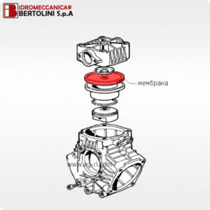 Мембрана 620040312 насоса Bertolini POLY