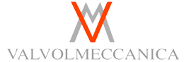 логотип valvolmeccanica